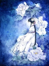 野狗和大美人的故事