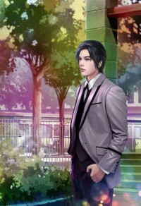 （综同人）[红楼+清穿]榜下捉婿